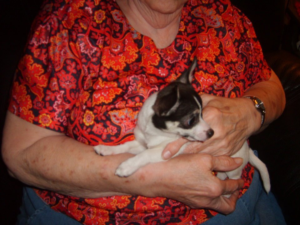 Ruby Pickens' album, Dog Pictures