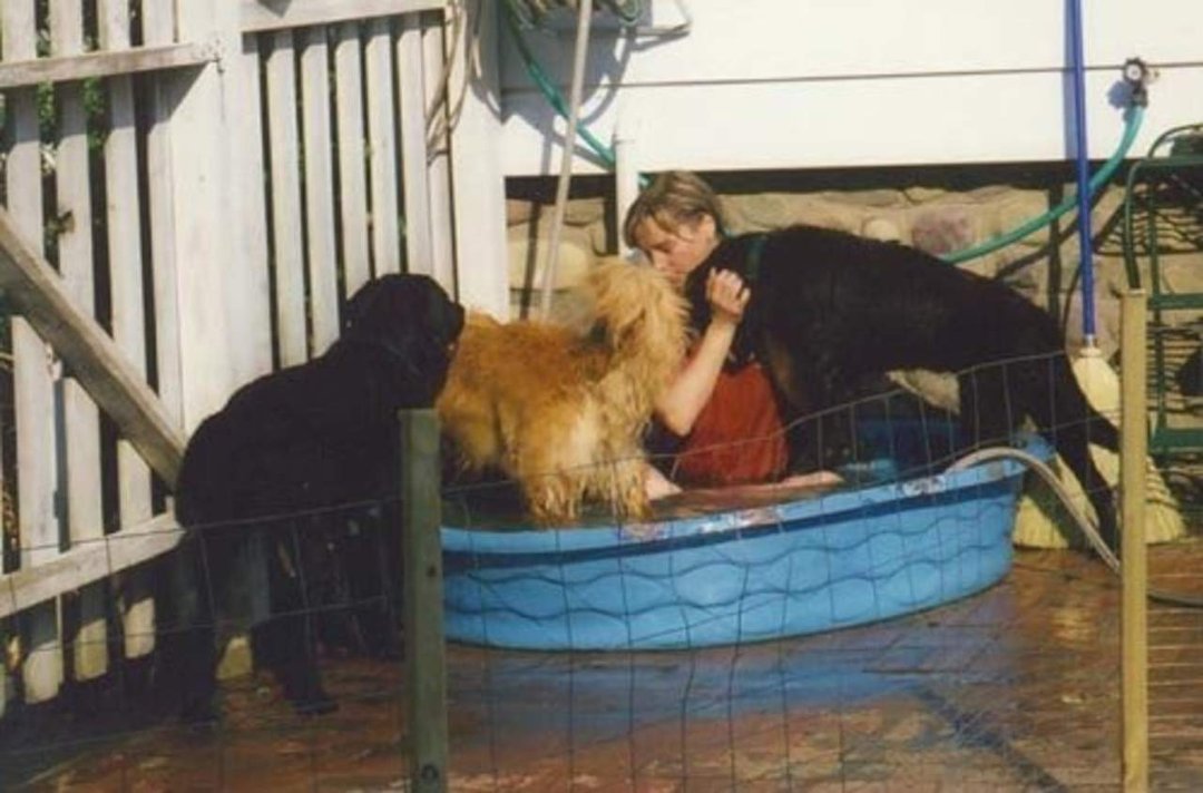 Terry Moses' album, Doggies