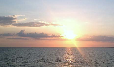 Robin Candler's album, Cover Photos