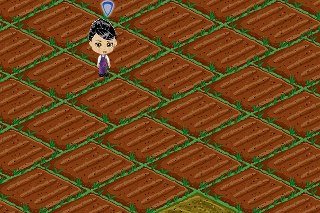 Michelle Berry's album, FarmVille Photos