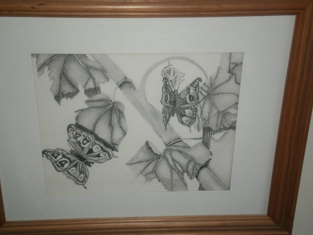 lisa cameron's album, Untitled Album