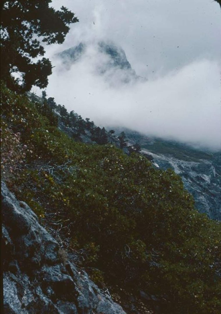 Daryl Strandlien's album, Backpacking