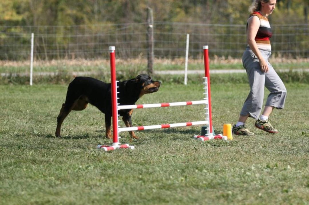 Heather Cotterman's album, In Memory of Woody "Buckeye's Bounding Glory
