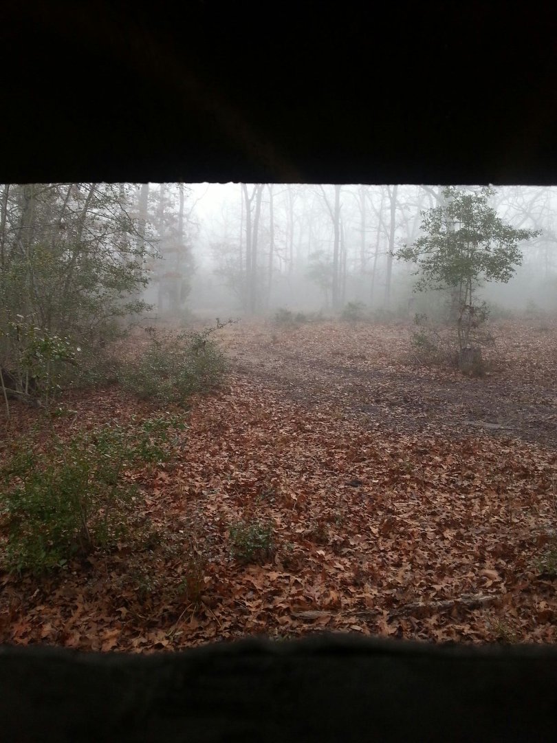 Mark Nix's album, Mobile Uploads