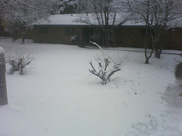 Calvin Lilly's album, Feb 2010 SNOW