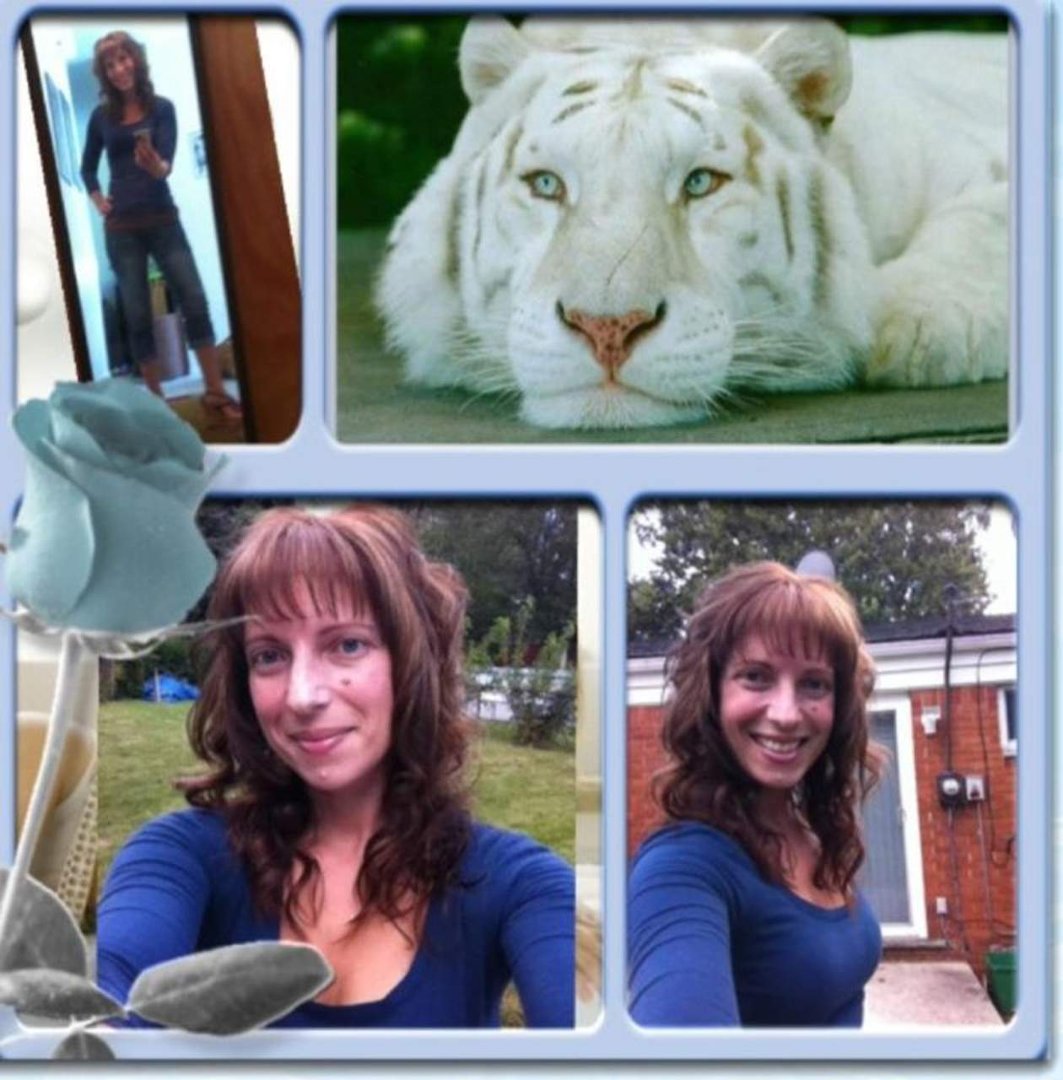 Tiffany Payer's album, Mobile Uploads