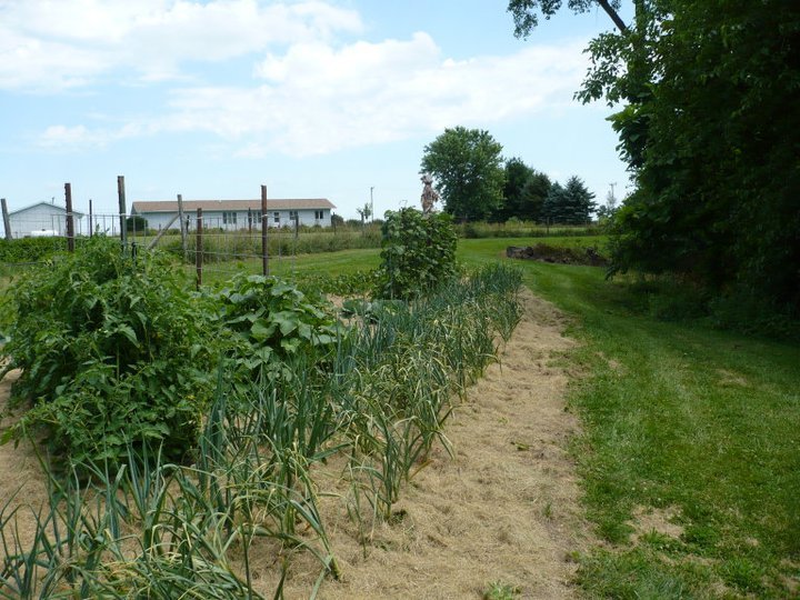 Vern Barry's album, July 2, 2011