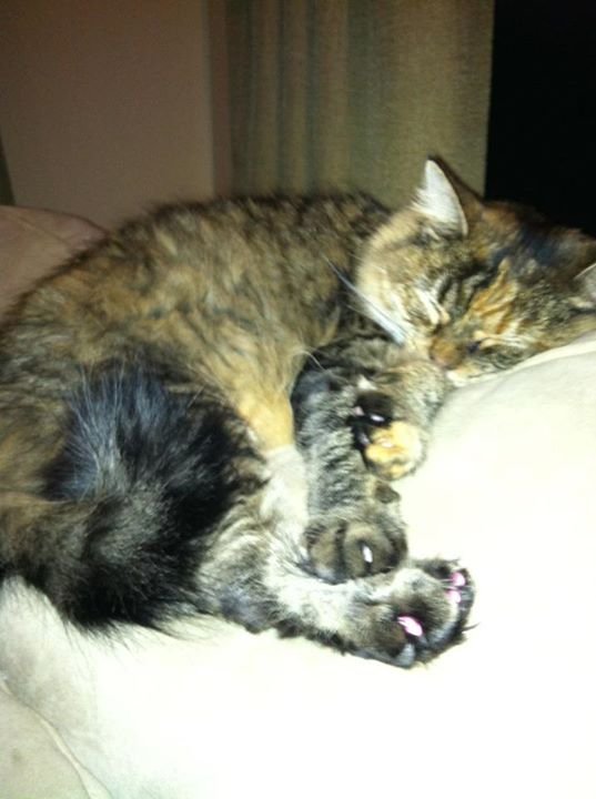 Heather Miliote's album, Mobile Uploads