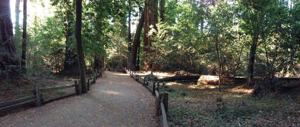 Cameron Johnstone's album, Mobile Uploads