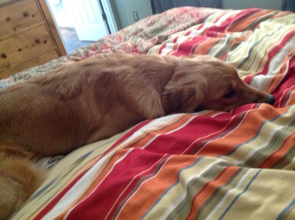 Gwen Mooney's album, iOS Photos