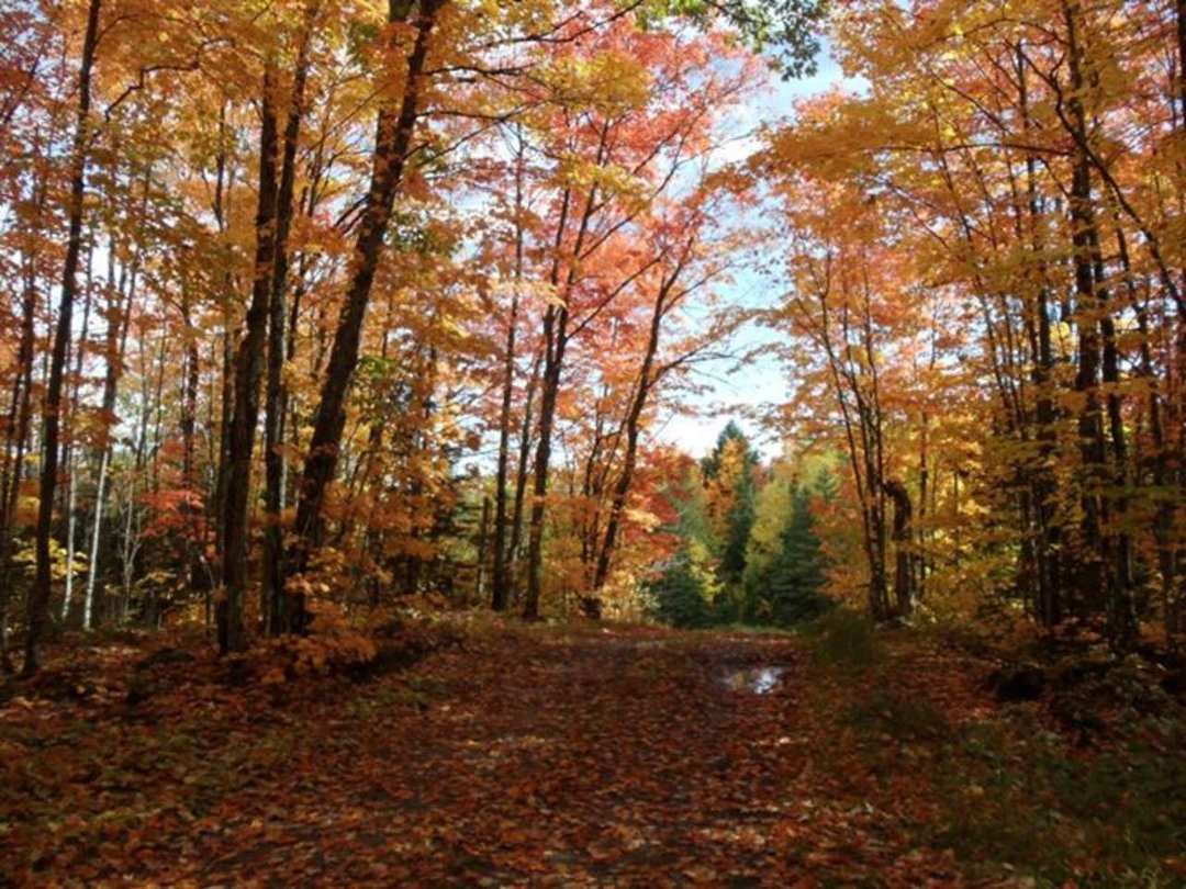 Stephen Aldrich's album, Fall in da yoopie