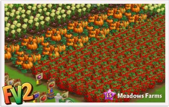 Millie Winters' album, FarmVille 2 Photos