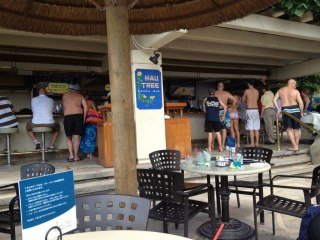 Greg Coffin's album, Hawaii