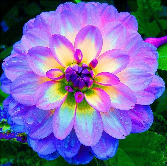Corrina Nickerson's album, Timeline Photos