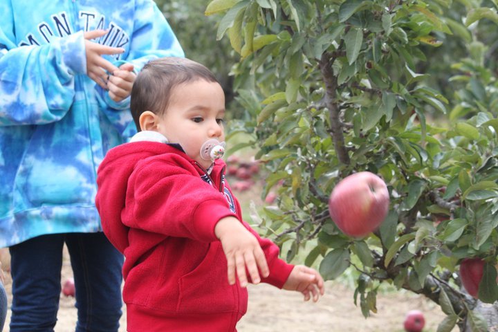 Bernadette Montalvo's album, Apple/Pumpkin picking 2010