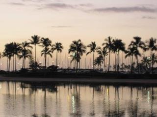 Alan Cook's album, Cover Photos