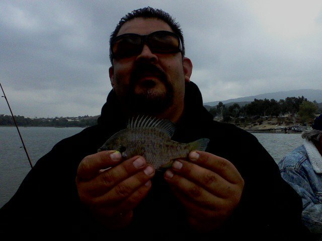 Sam Balderas' album, Mobile Uploads