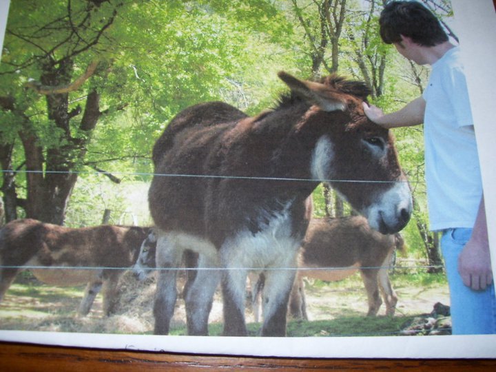 Patsy Clark's album, March 4, 2011