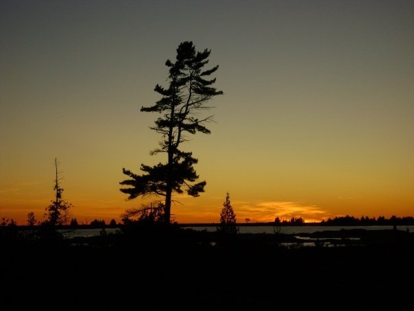 Larry Robichaud's album, Last Weekend @Machine gun Island