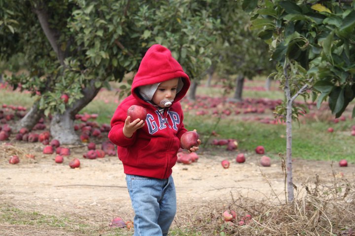 Bernadette Montalvo's album, Apple/Pumpkin picking 2010