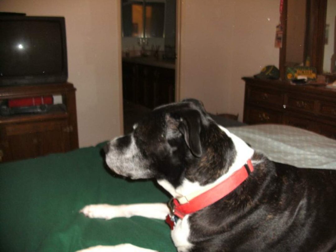 Robin Chase's album, December 5, 2010