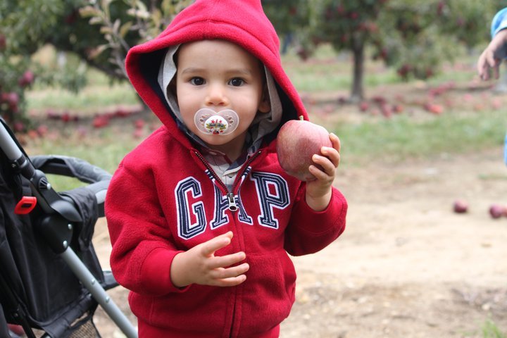 Bernadette Montalvo's album, Apple/Pumpkin picking 2010