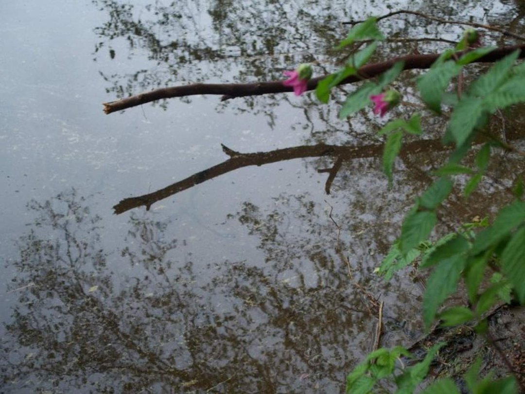 Keith Klapperich's album, Fragrance Lake