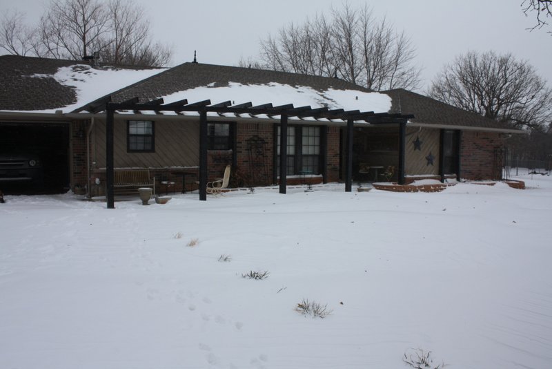 Paul Studiner's album, Snow Storm Feb 1st 2011