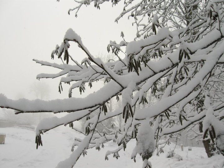 Lon Jackson's album, Snow Fall on the Mountain