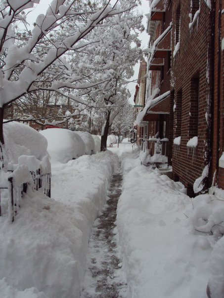 James Geppert's album, winter 2010