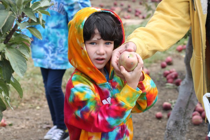 Bernadette Montalvo's album, Apple/Pumpkin picking 2010