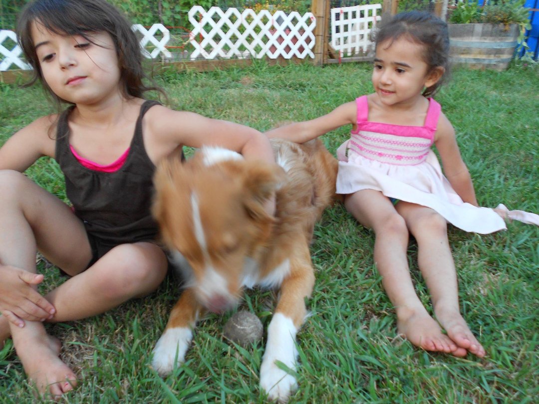 Mike Manseau's album, Family