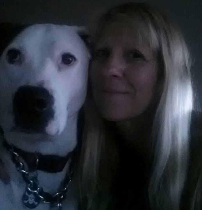 Eileen Morcom's album, Profile Pictures