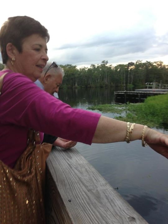 Sandy Rosenfield's album, Mobile Uploads