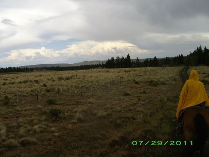 Barbara Hansen's album, More F&F Camp Trip