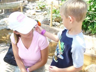 Stephanie Libbert's album, Aunt Melissa's Trip