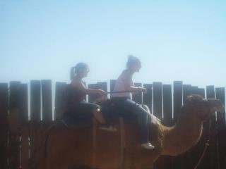 Ann Smith's Classmates profile album