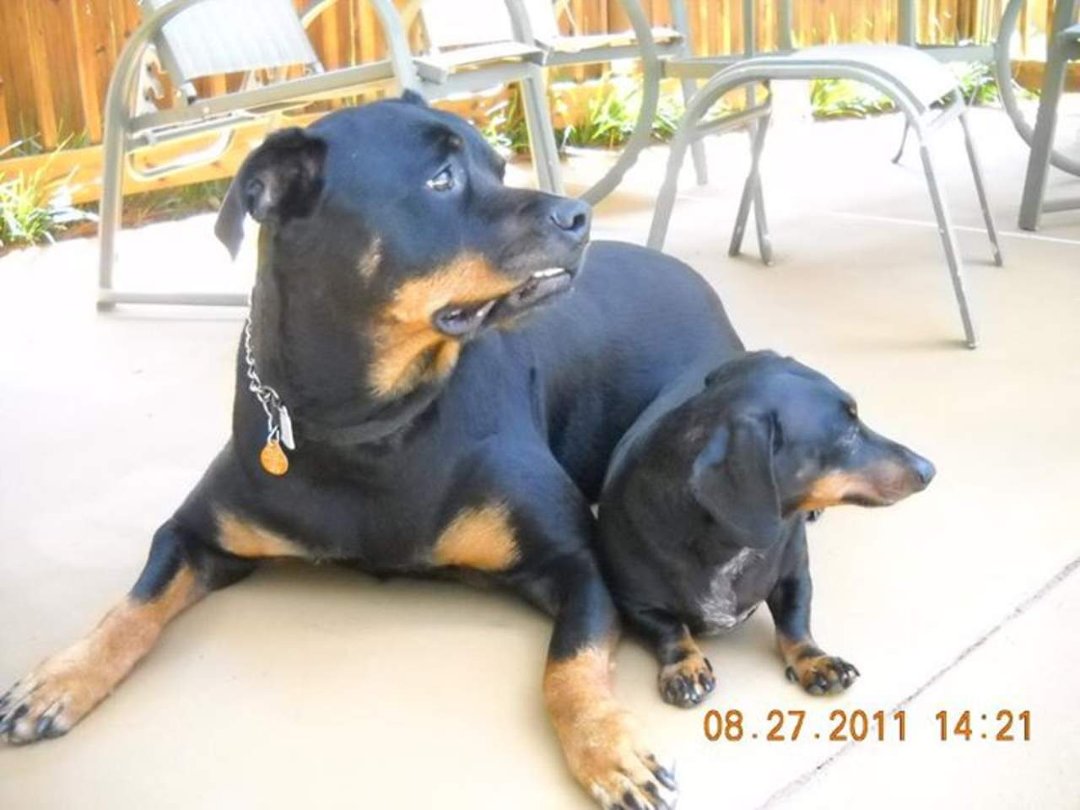 Keith Craddock's album, MY BABIES