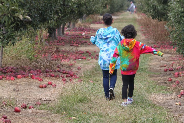 Bernadette Montalvo's album, Apple/Pumpkin picking 2010