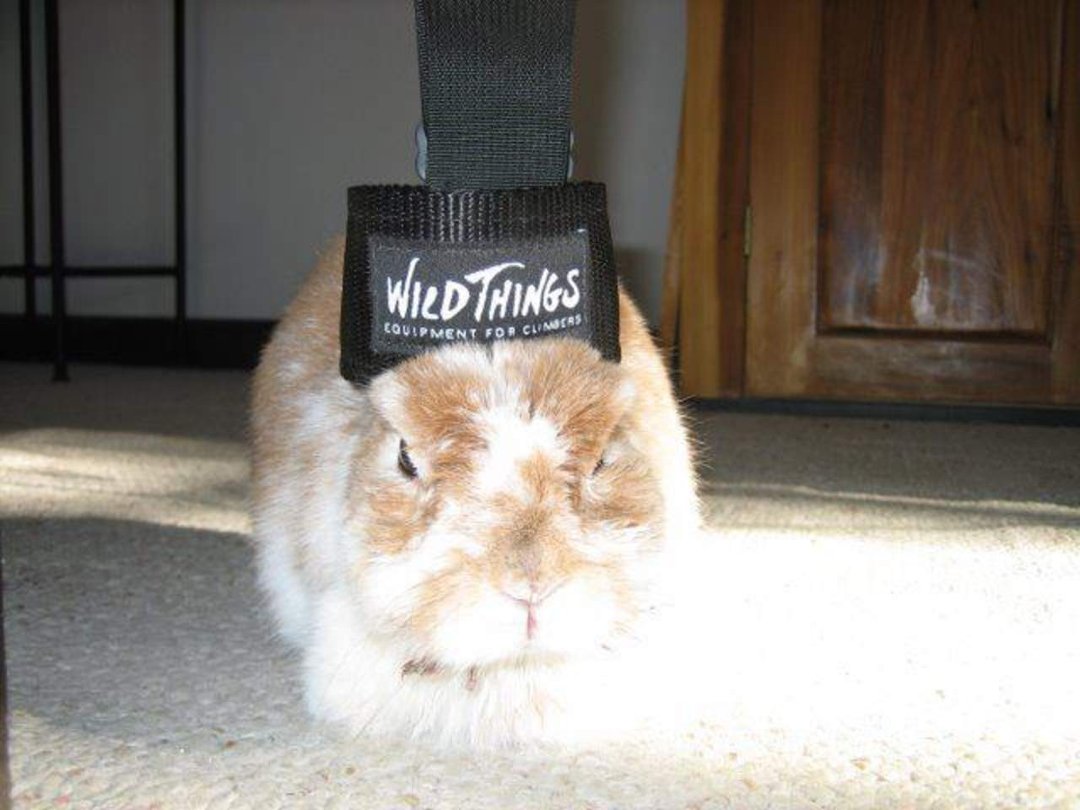 Terry McShane Hackett's album, Peaches Plays Hat