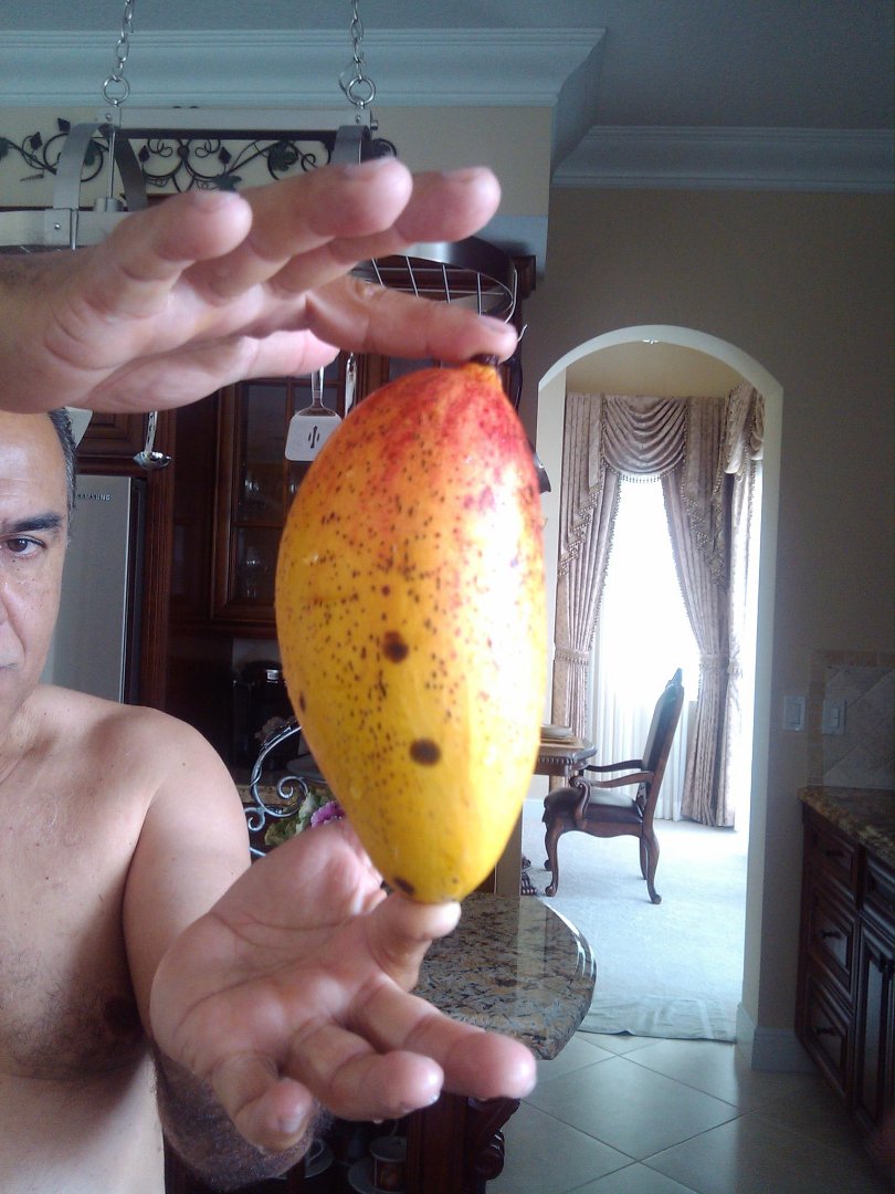Leon Escobar's album, Mobile Uploads