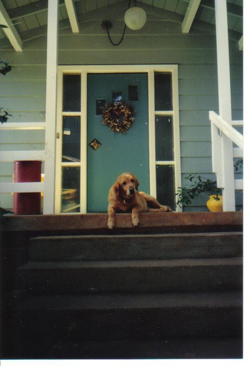 Pauline Try's album, Profile Pictures
