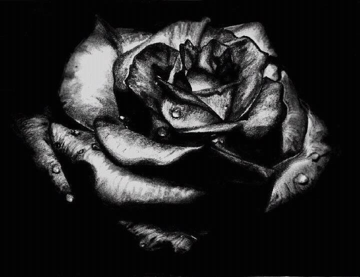 Joseph Blake's album, Cover Photos