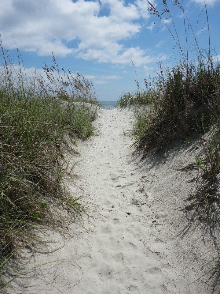 Joanne Miller's album, Cover Photos