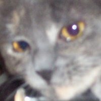 Barbara Kube's album, Profile Pictures