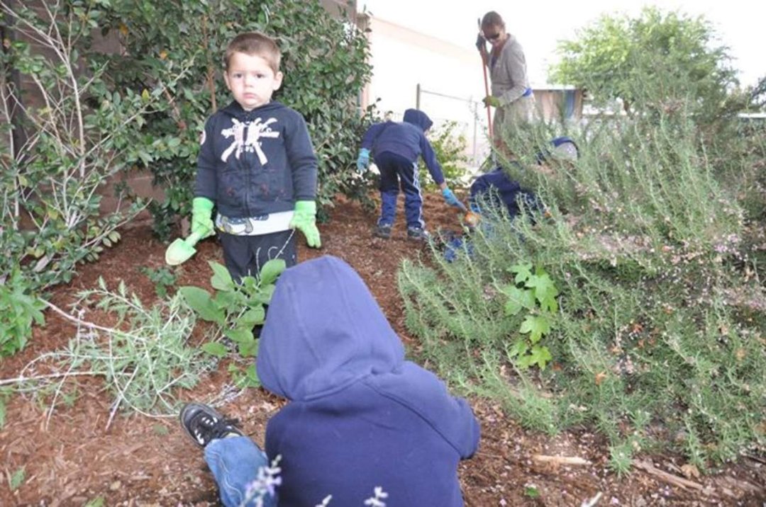 Bob Feaster's album, LOVE Chico working in Chico Unified School District