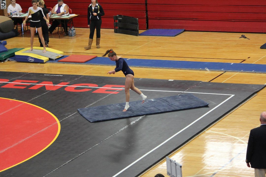 Mike Mann's album, State Gymnastics