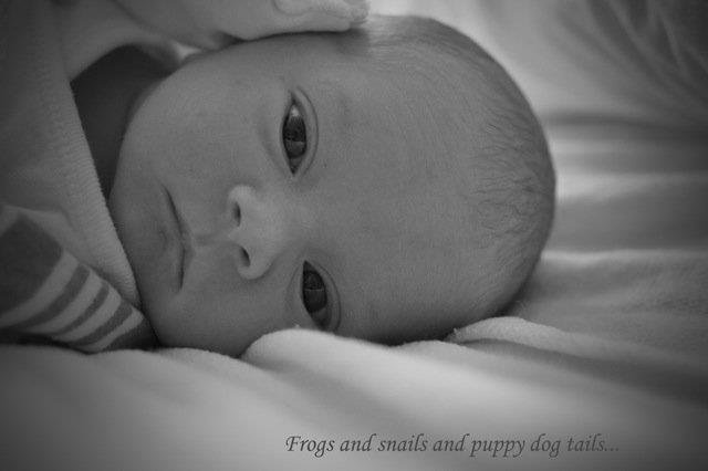 Bruce Clemans' album, Newest Grandson - Colin Marc Clemans
