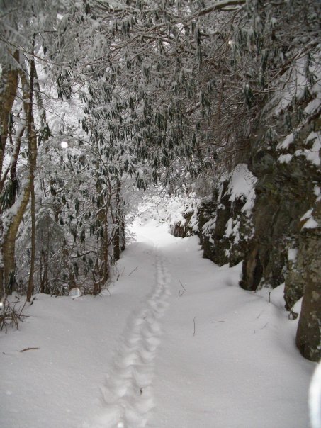 Billy Snow's album, Mt. Leconte - 1/8/10-1/9/10