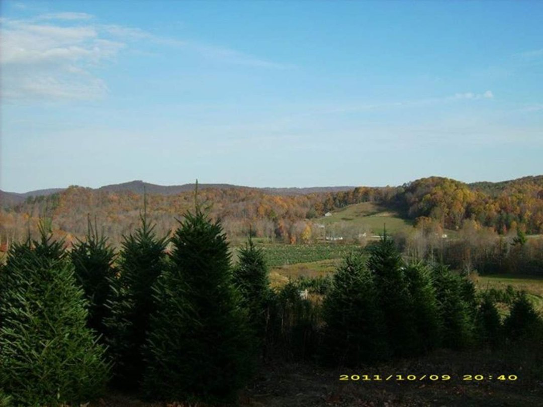 Chris Darnbush's album, The Creeper Trail